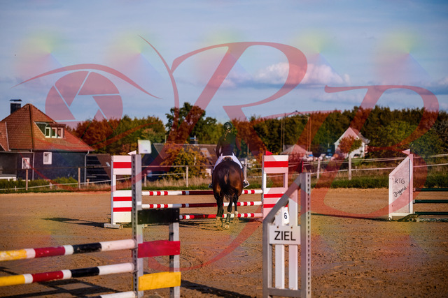 2026_10_03_Siefer-Hof_171039_Z81_07487887 | Professionelle Reitsport-, Turnier- und Eventfotografie von Robert Broda. Galerien mit ausgewählten und bearbeiteten Bildern direkt online ansehen und bestellen.