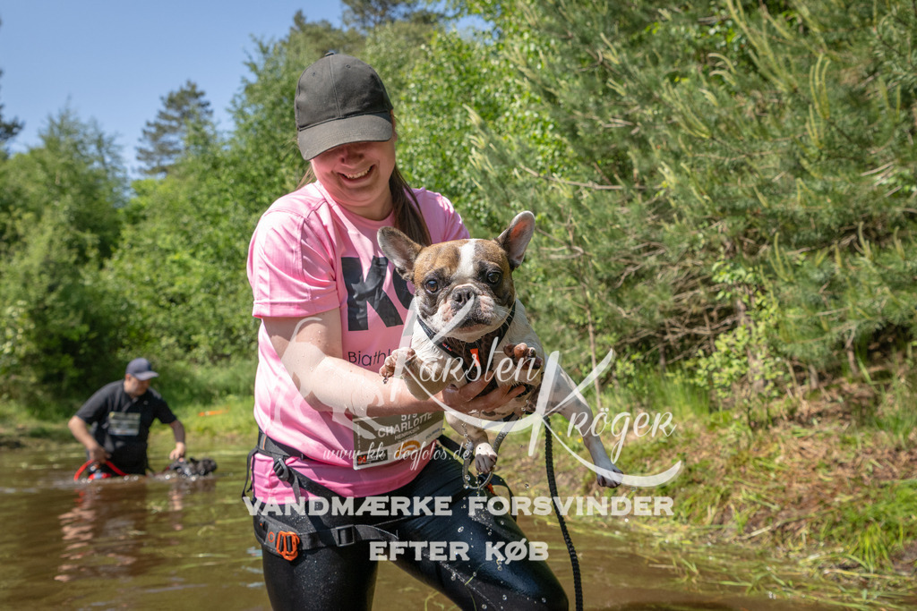 1526DKK993313 | kk-dogfotos