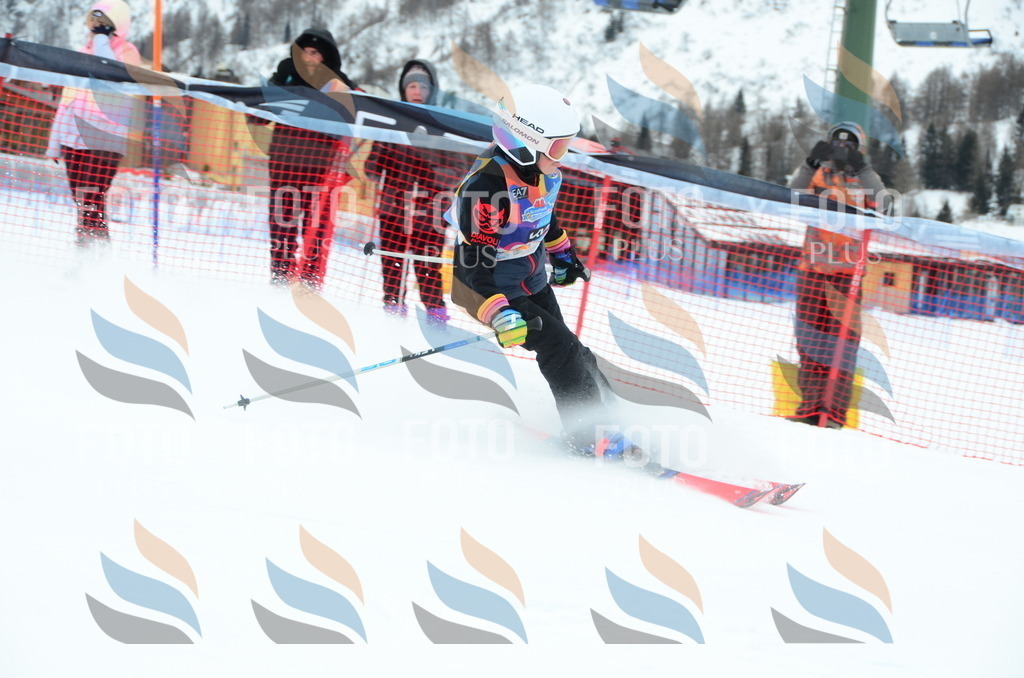 DSC_1172 | holidayphoto