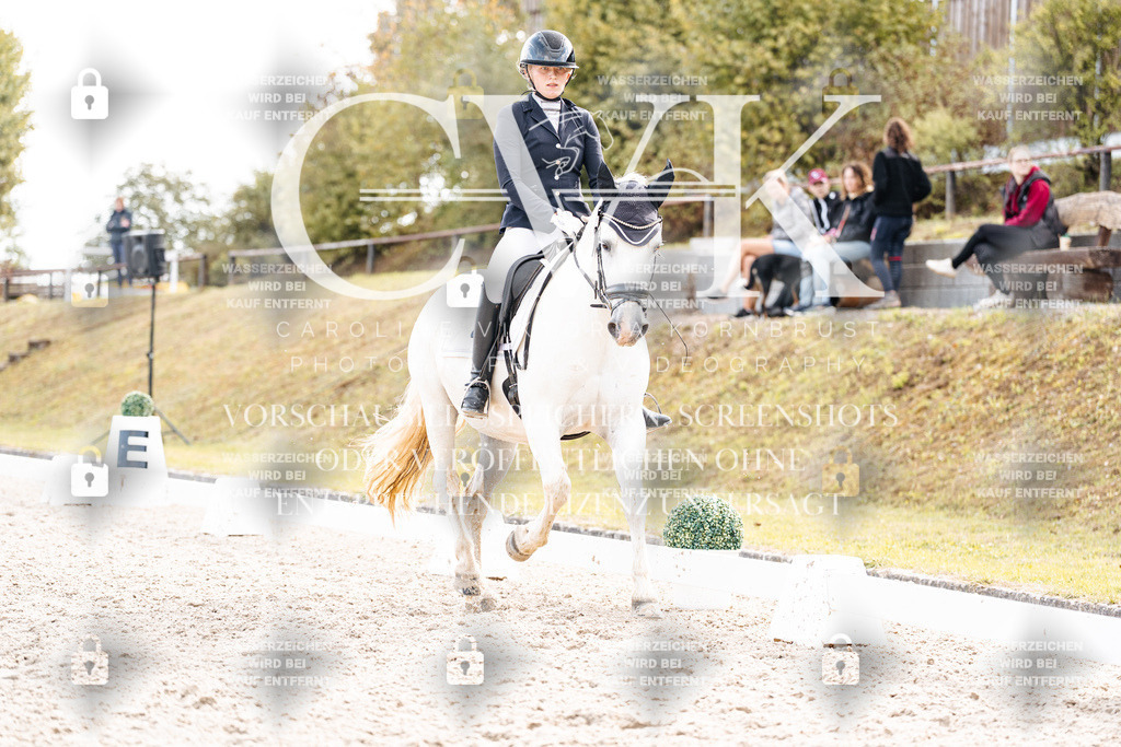 CK901558 | Turnierfotografie Pferdefotografie Trier Rheinland-Pfalz Pferdesport Reitsport Tierfotografie Sportfotografie Pferdevideo Pferdevideografie Equestrianvideography equestrianphotography  - Realisiert mit Pictrs.com