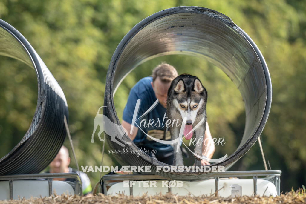 0930_ZZ90464 | kk-dogfotos