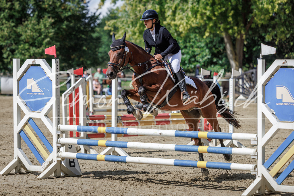20260905-_3LI9182 | Tierfotografie Pferde, Hunde, Katzen, Haustiere.
Turnierfotografie Reitturniere, Reiten, Springreiten, Dressur in Hanau, dem Main-Kinzig-Kreis und dem Rhein-Main- Gebiet um Frankfurt