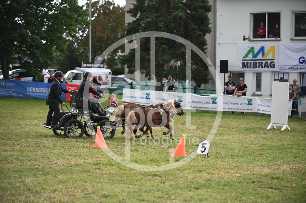 DSC_8547 | sattelsport - Realisiert mit Pictrs.com