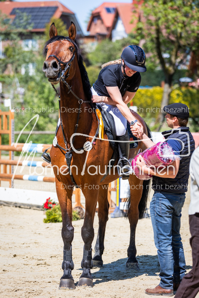 Donop24-L-Spr-050 | MomenTaufnahmen Pferdesportfotos