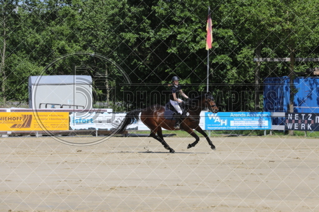 IMG_4998 | photographesa-joergens - Realisiert mit Pictrs.com