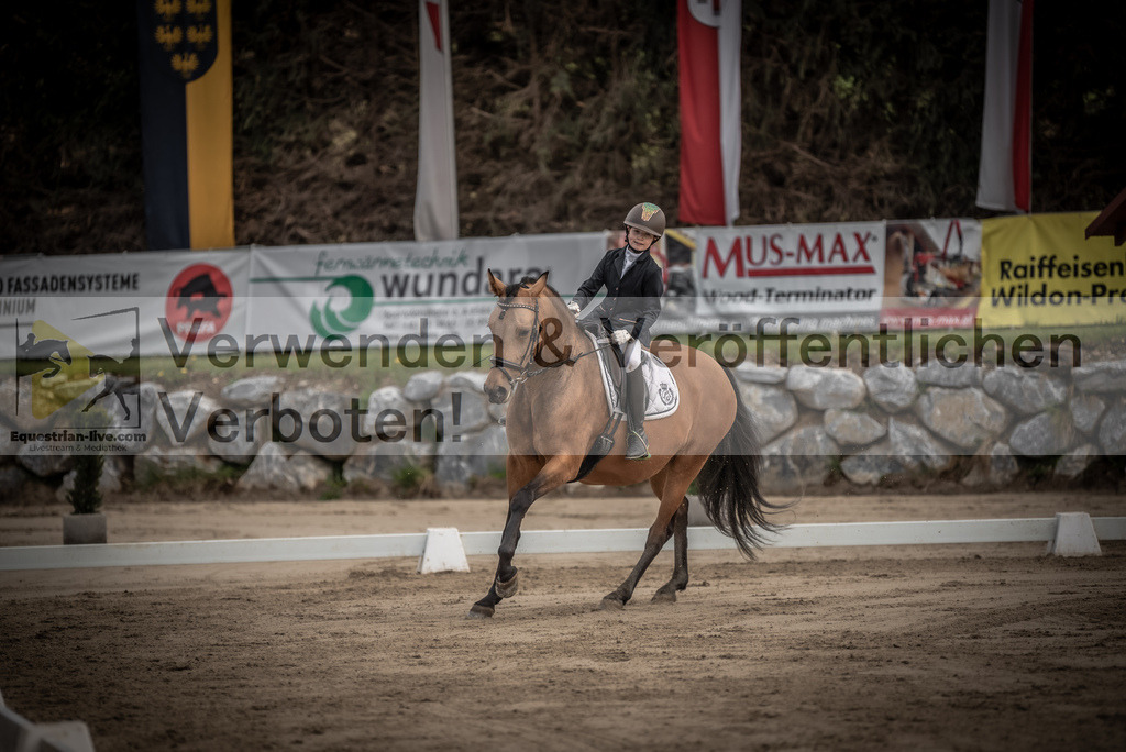DSC_8434 | equestrian-live-com