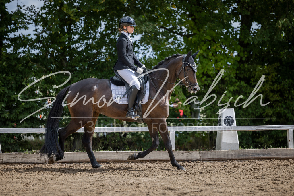 20260905-_3LI7986 | Tierfotografie Pferde, Hunde, Katzen, Haustiere.
Turnierfotografie Reitturniere, Reiten, Springreiten, Dressur in Hanau, dem Main-Kinzig-Kreis und dem Rhein-Main- Gebiet um Frankfurt