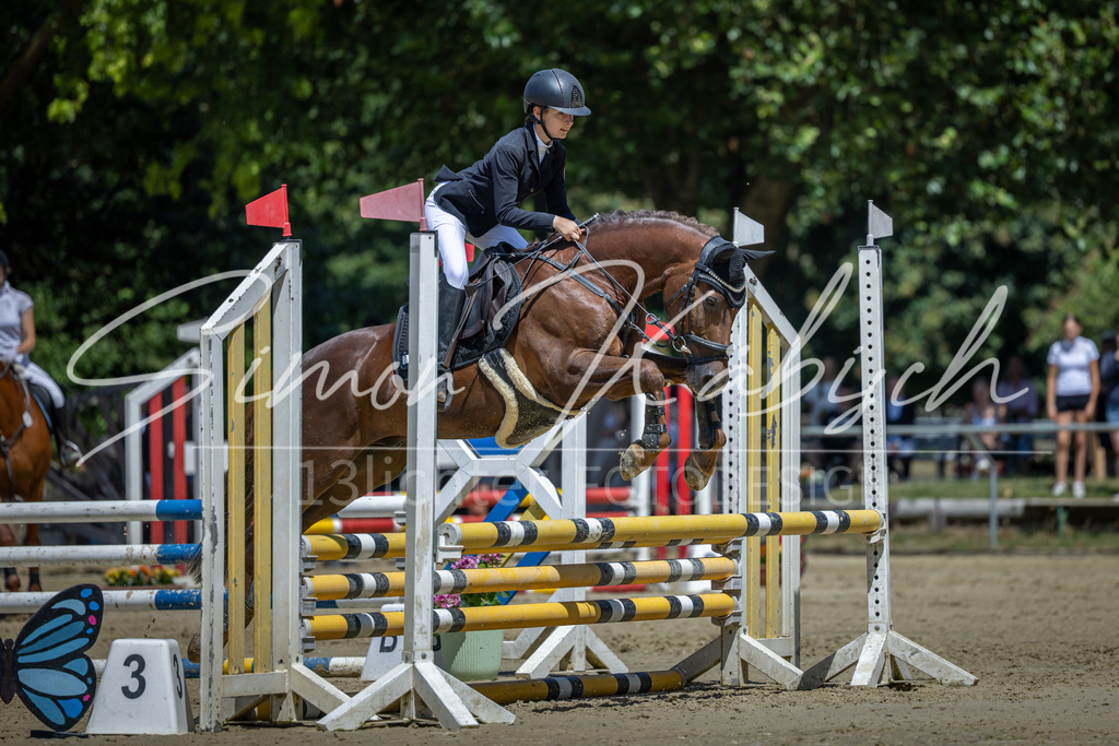 20260704-_3LI8296 | Tierfotografie Pferde, Hunde, Katzen, Haustiere.
Turnierfotografie Reitturniere, Reiten, Springreiten, Dressur in Hanau, dem Main-Kinzig-Kreis und dem Rhein-Main- Gebiet um Frankfurt