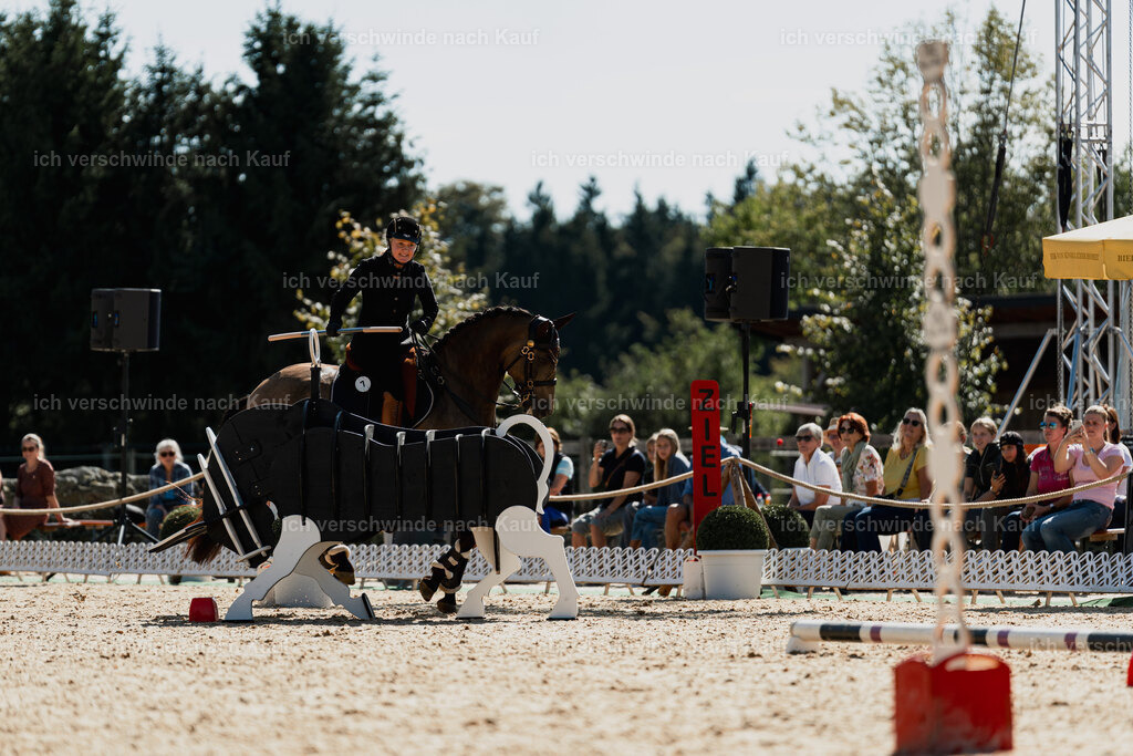 Katja7_FHC2025-08976 | working equitationturnier fotograf videograf stoibphotography marixx film working equitation deutschland reitsport turnierfotografie eventfotografie equestrian events