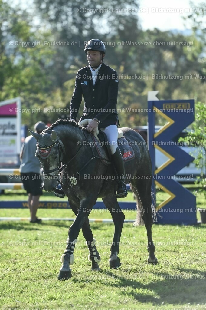 20230908_14-15_Springpferde-A_0118 | equistock