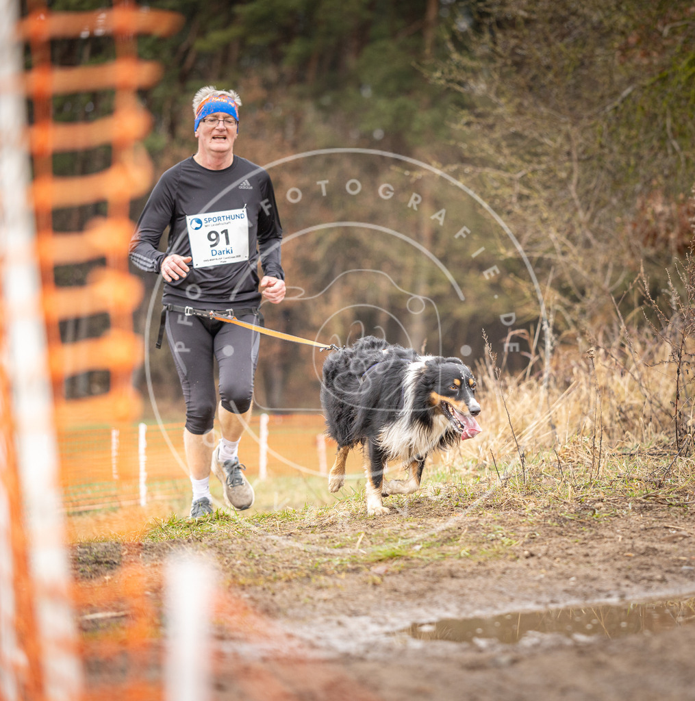 DV3A0445 | Hundefotografie, Tierfotograf, Pfotenfotografie, Fotoshooting Hund, Hunde Portrait, Hundesport, Hundeportraits, Heideshooting, Hunde, Sportfotograf, Hundefotograf, Turnierhundsport, THS,  - Realisiert mit Pictrs.com