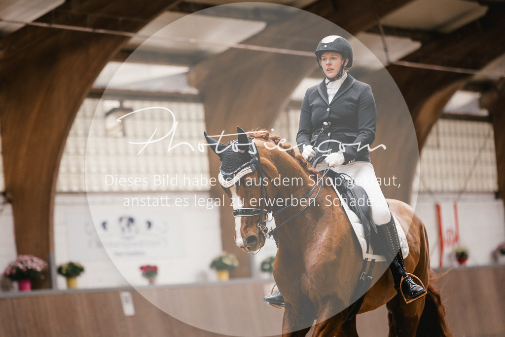 3I6A8953 | Stimmungsvolle Portraits und Reitsportfotografie im Ruhrgebiet und im Münsterland.

Pferdefotografie, Hundefotografie, Tierfotografie, Reportagen, Portraits von Tier und Mensch, Turnierfotografie in Bochum, Recklinghausen, Marl, Haltern am See, Dülmen.. - Realisiert mit Pictrs.com