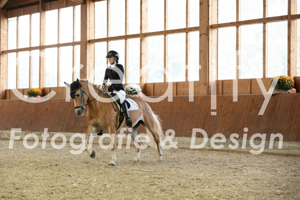 IMG_5875 | Creatify Fotografie