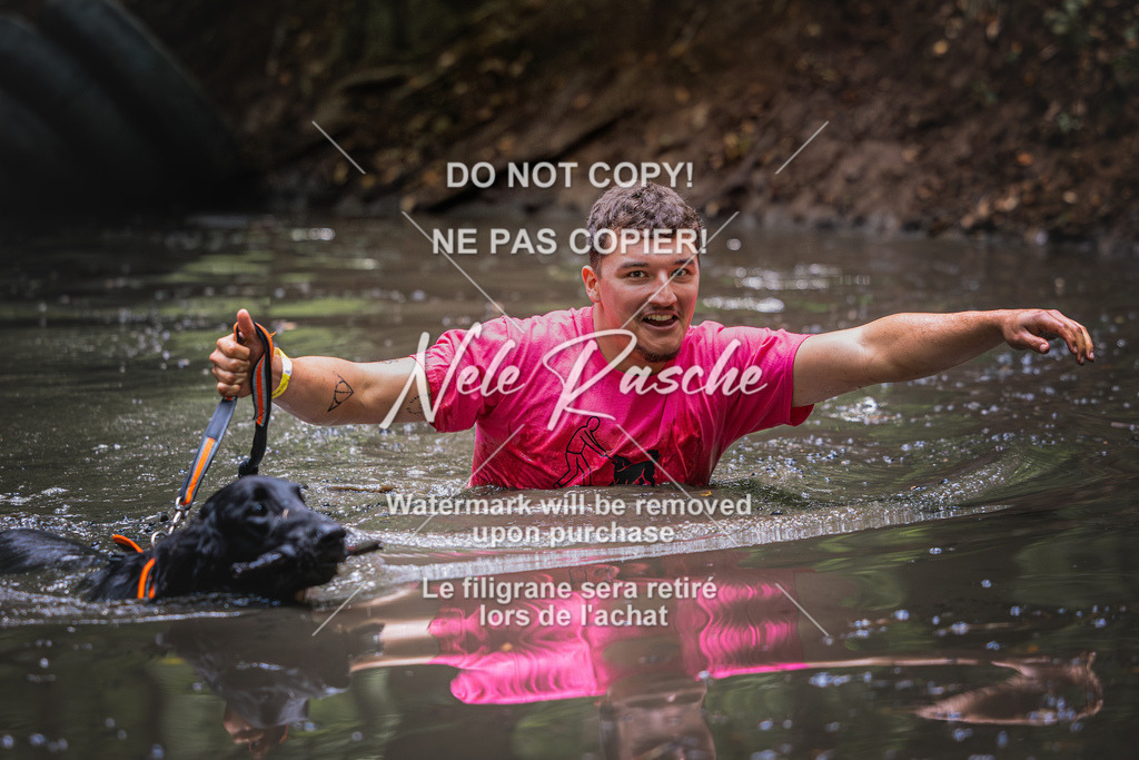 nelerasche_SaWingst1300-1400_347 | nelerasche