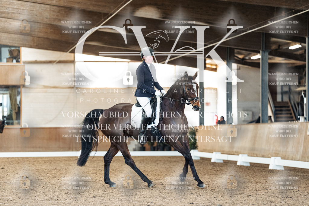 CK909193 | Turnierfotografie Pferdefotografie Trier Rheinland-Pfalz Pferdesport Reitsport Tierfotografie Sportfotografie Pferdevideo Pferdevideografie Equestrianvideography equestrianphotography  - Realisiert mit Pictrs.com