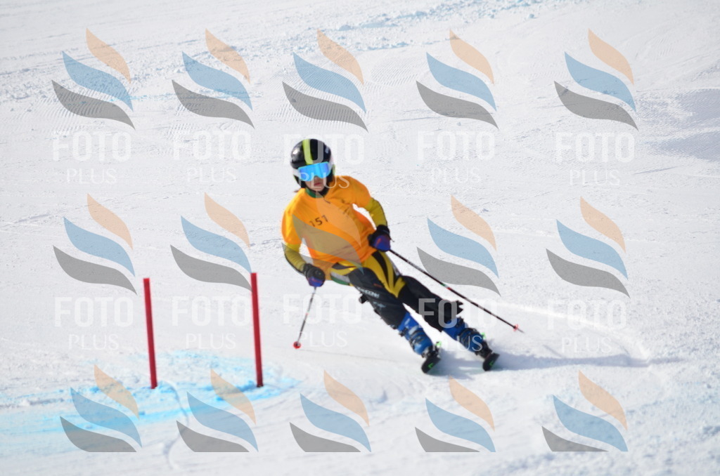 C7761 | holidayphoto