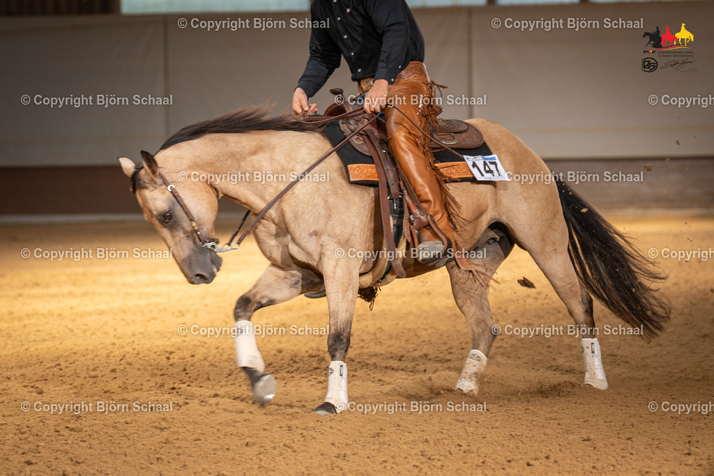 LMS06012 | BS-foto
