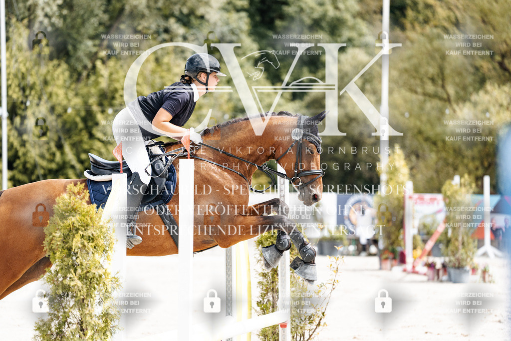CK906523 | Turnierfotografie Pferdefotografie Trier Rheinland-Pfalz Pferdesport Reitsport Tierfotografie Sportfotografie Pferdevideo Pferdevideografie Equestrianvideography equestrianphotography  - Realisiert mit Pictrs.com