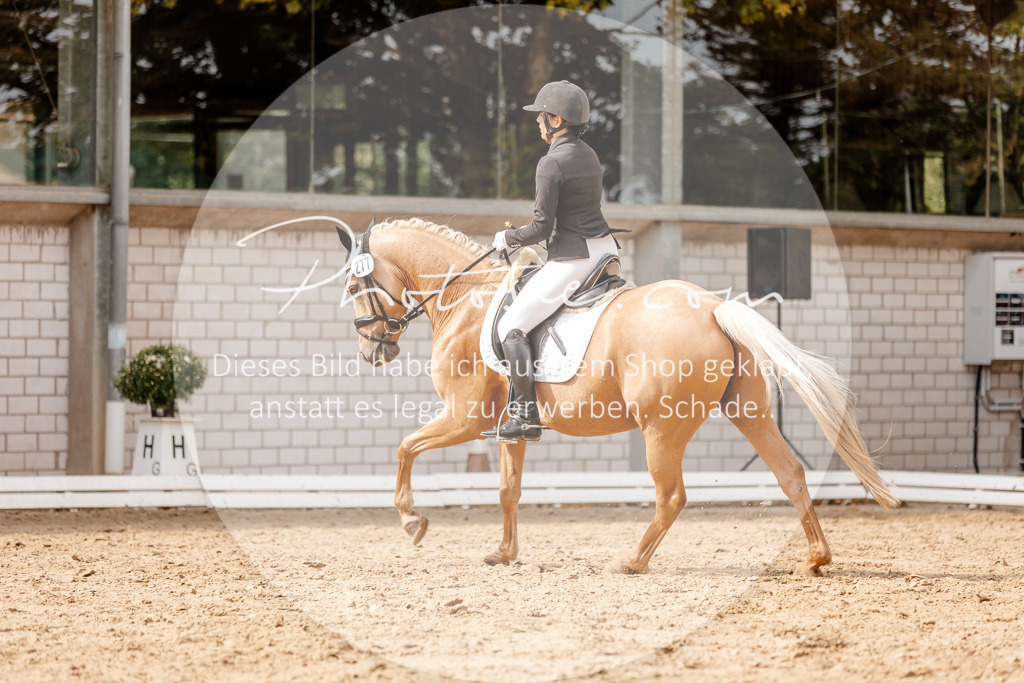 3I6A3939 | Stimmungsvolle Portraits und Reitsportfotografie im Ruhrgebiet und im Münsterland.

Pferdefotografie, Hundefotografie, Tierfotografie, Reportagen, Portraits von Tier und Mensch, Turnierfotografie in Bochum, Recklinghausen, Marl, Haltern am See, Dülmen.. - Realisiert mit Pictrs.com