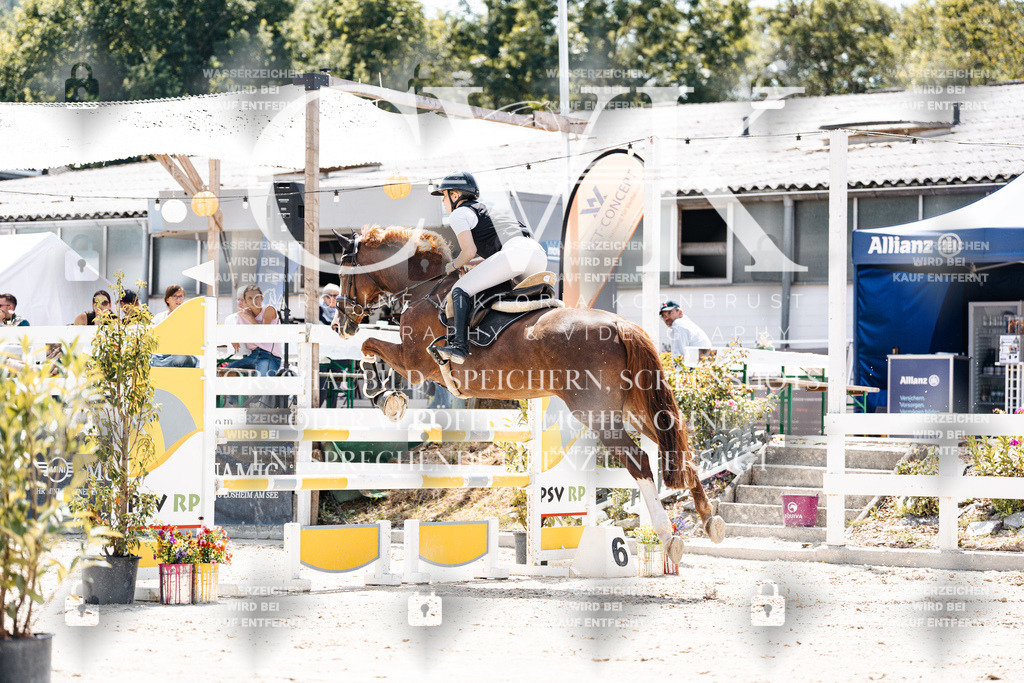 CK907663 | Turnierfotografie Pferdefotografie Trier Rheinland-Pfalz Pferdesport Reitsport Tierfotografie Sportfotografie Pferdevideo Pferdevideografie Equestrianvideography equestrianphotography  - Realisiert mit Pictrs.com