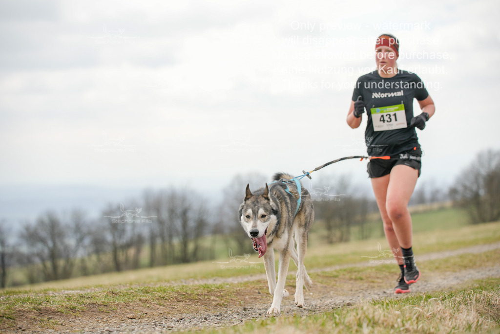CaniXRunSA-176 | stephaniefillaphotographie - Realisiert mit Pictrs.com
