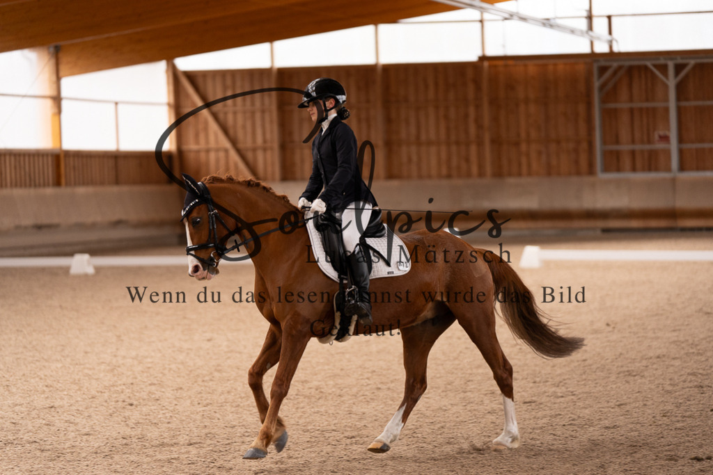 A7507009 | Turnier/Reitfotograf