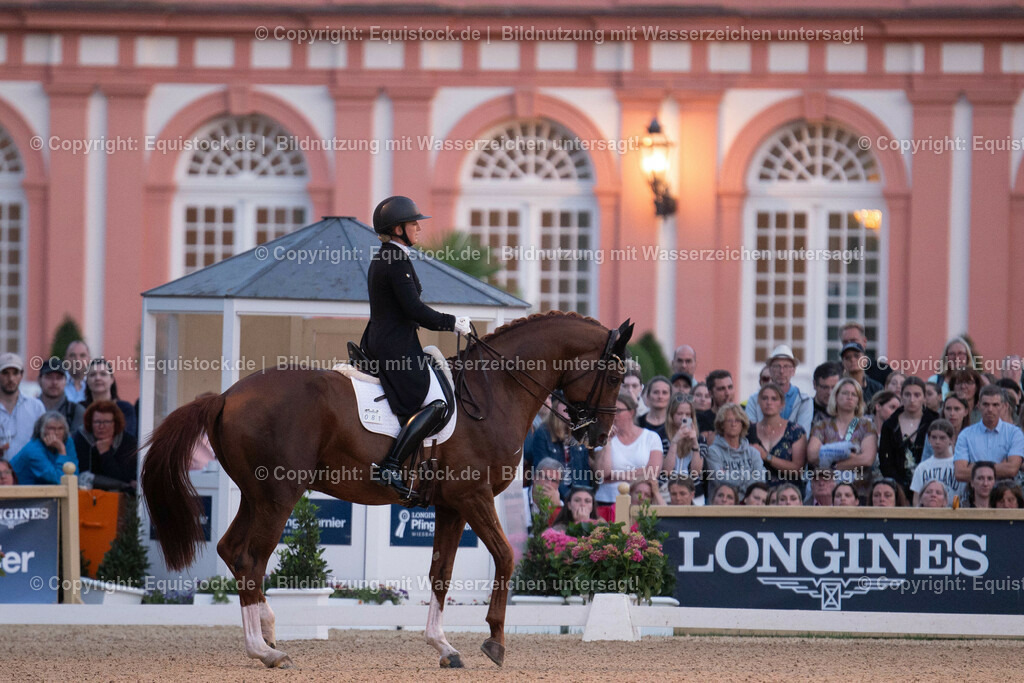 20230528_Flutlicht-Kür_0013 | equistock