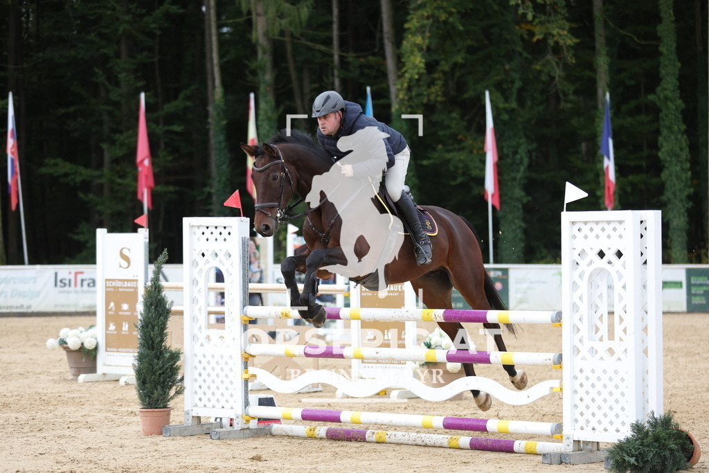 0P6A7908 | Willkommen bei Brunnmayr - Design & Fotografie – Ihrem Spezialisten für Reitturniere und Pferdeveranstaltungen in Oberösterreich, Salzburg und Bayern! Seit über 17 Jahren sind wir leidenschaftlich dabei.