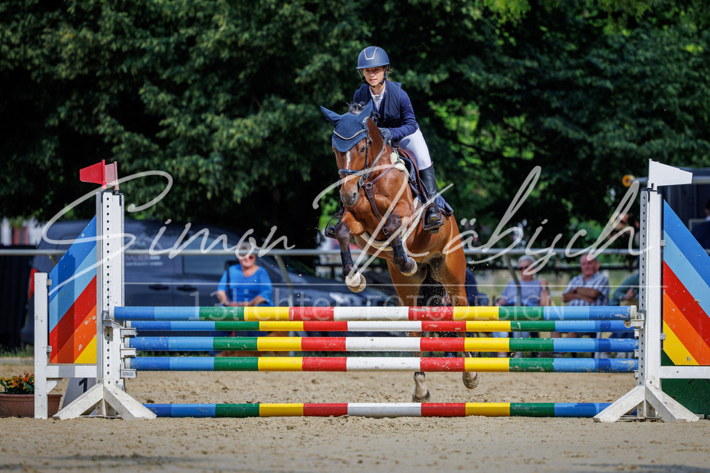 20260705-_3LI3902 | Tierfotografie Pferde, Hunde, Katzen, Haustiere.
Turnierfotografie Reitturniere, Reiten, Springreiten, Dressur in Hanau, dem Main-Kinzig-Kreis und dem Rhein-Main- Gebiet um Frankfurt