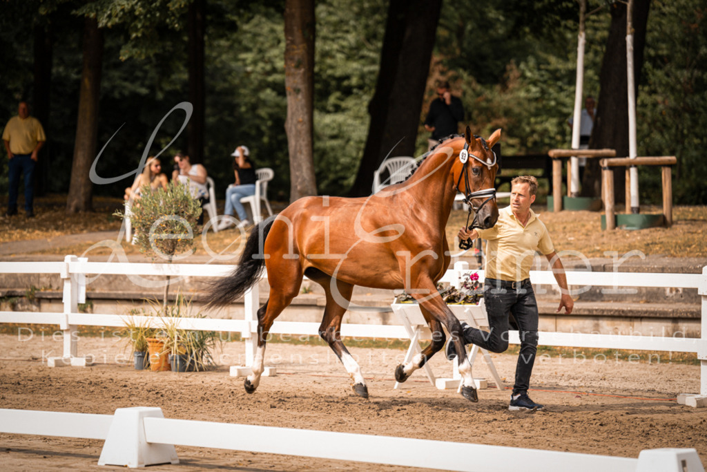 6.Fr00117 | Leoni Ertmer Photography - Realisiert mit Pictrs.com