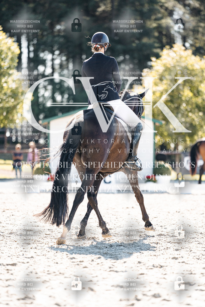 CK905547 | Turnierfotografie Pferdefotografie Trier Rheinland-Pfalz Pferdesport Reitsport Tierfotografie Sportfotografie Pferdevideo Pferdevideografie Equestrianvideography equestrianphotography  - Realisiert mit Pictrs.com
