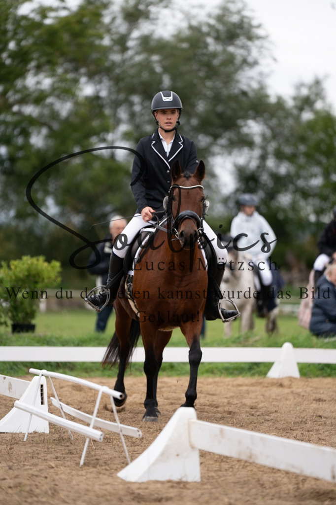 A7V05415 | Pferdefotograf