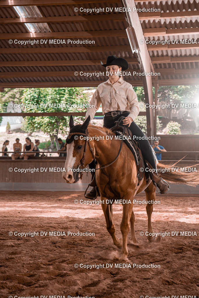 NE100519 | dv-media-shop - Realisiert mit Pictrs.com