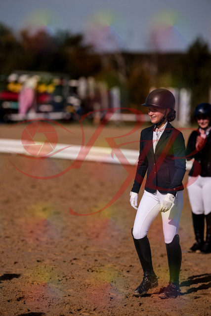 2026_10_03_Siefer-Hof_124733_Z81_39426083 | Professionelle Reitsport-, Turnier- und Eventfotografie von Robert Broda. Galerien mit ausgewählten und bearbeiteten Bildern direkt online ansehen und bestellen.