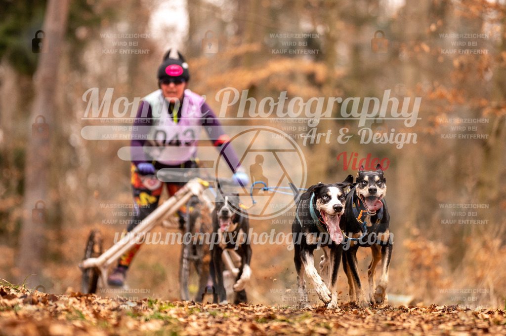 AKM_ST_2023_SAM_DR4-33 | PayLife