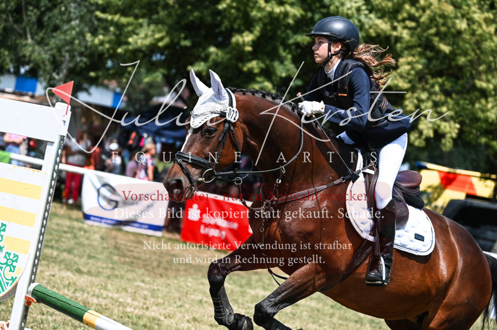 DSC_9587 | Pferde- und Turnierfotografie in Westsachsen. Pferdeportraits, Auftragszeichnungen und intuitive Kunst.