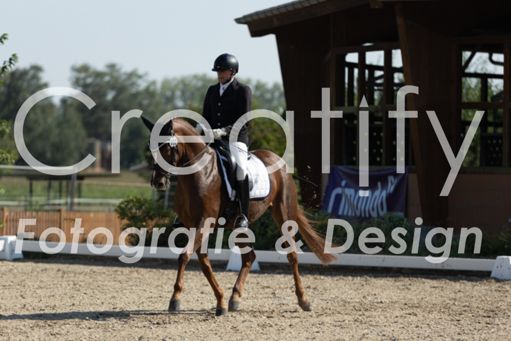 IMG_5752 | Creatify Fotografie