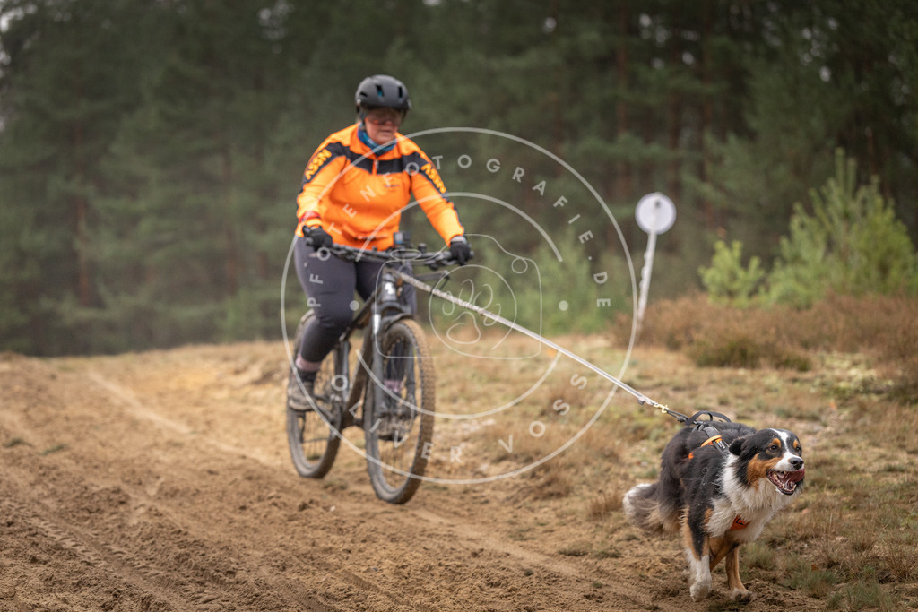 Pfotenfotografie_DV3A3966 | Hundefotografie, Tierfotograf, Pfotenfotografie, Fotoshooting Hund, Hunde Portrait, Hundesport, Hundeportraits, Heideshooting, Hunde, Sportfotograf, Hundefotograf, Turnierhundsport, THS,  - Realisiert mit Pictrs.com