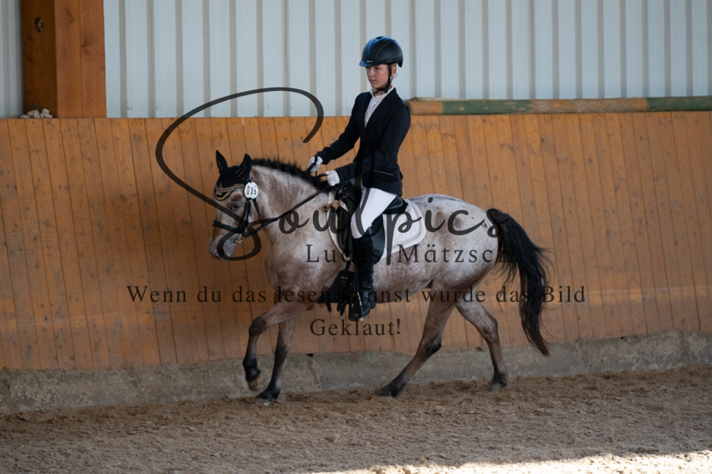 A7V01690 | Turnier/Reitfotograf