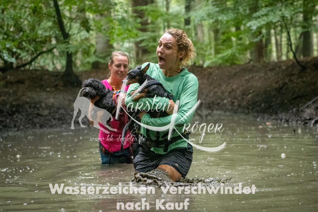 1304_ZZ91312-Bearbeitet | kk-dogfotos