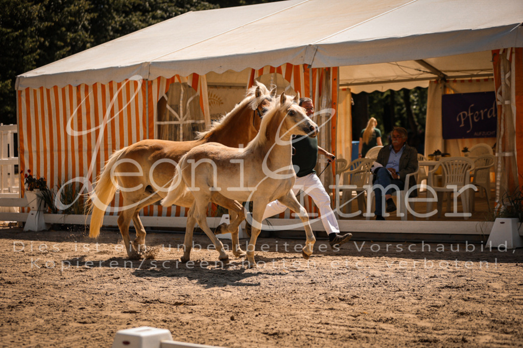 06.DoH00055 | Leoni Ertmer Photography - Realisiert mit Pictrs.com