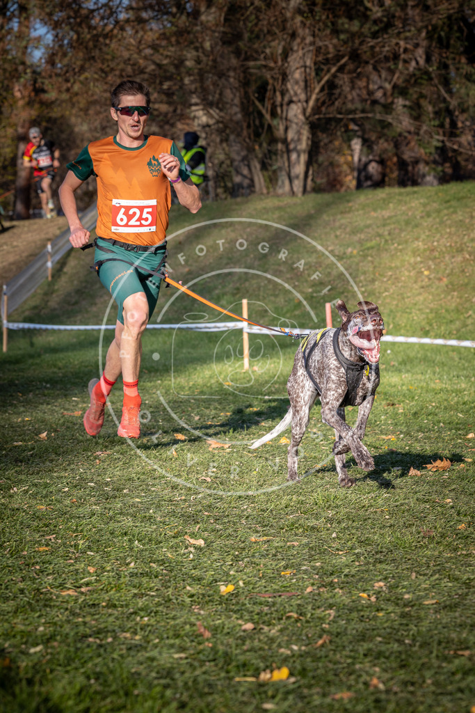 CaniXpix_0L8A8824 | Hundefotografie, Tierfotograf, Pfotenfotografie, Fotoshooting Hund, Hunde Portrait, Hundesport, Hundeportraits, Heideshooting, Hunde, Sportfotograf, Hundefotograf, Turnierhundsport, THS,  - Realisiert mit Pictrs.com