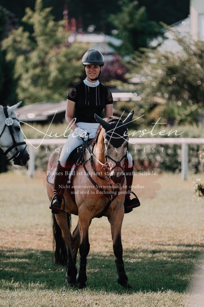 DSC_4893 | Pferde- und Turnierfotografie in Westsachsen. Pferdeportraits, Auftragszeichnungen und intuitive Kunst.