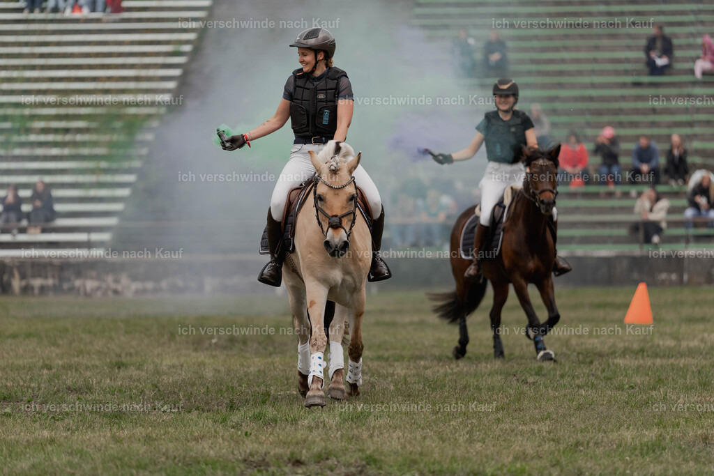 Showprogramm-398 | working equitationturnier fotograf videograf stoibphotography marixx film working equitation deutschland reitsport turnierfotografie eventfotografie equestrian events