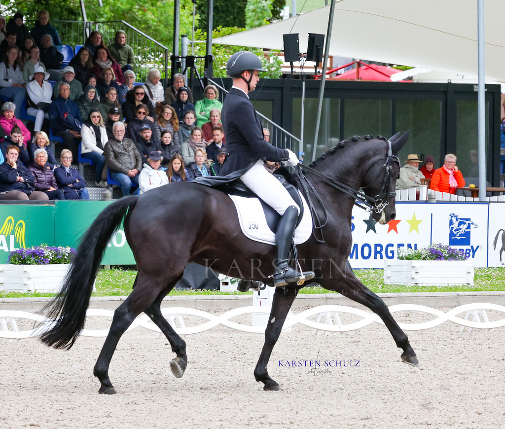 IMG_0127 | Reitsport Reiten