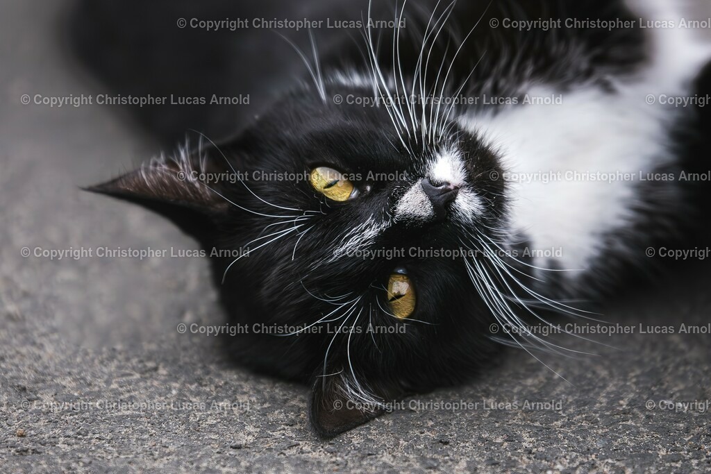 02 | bildkomponist - Realisiert mit Pictrs.com