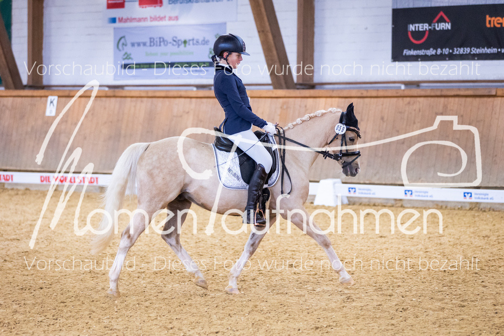 Sth-A-Dre-1St-295 | MomenTaufnahmen Pferdesportfotos