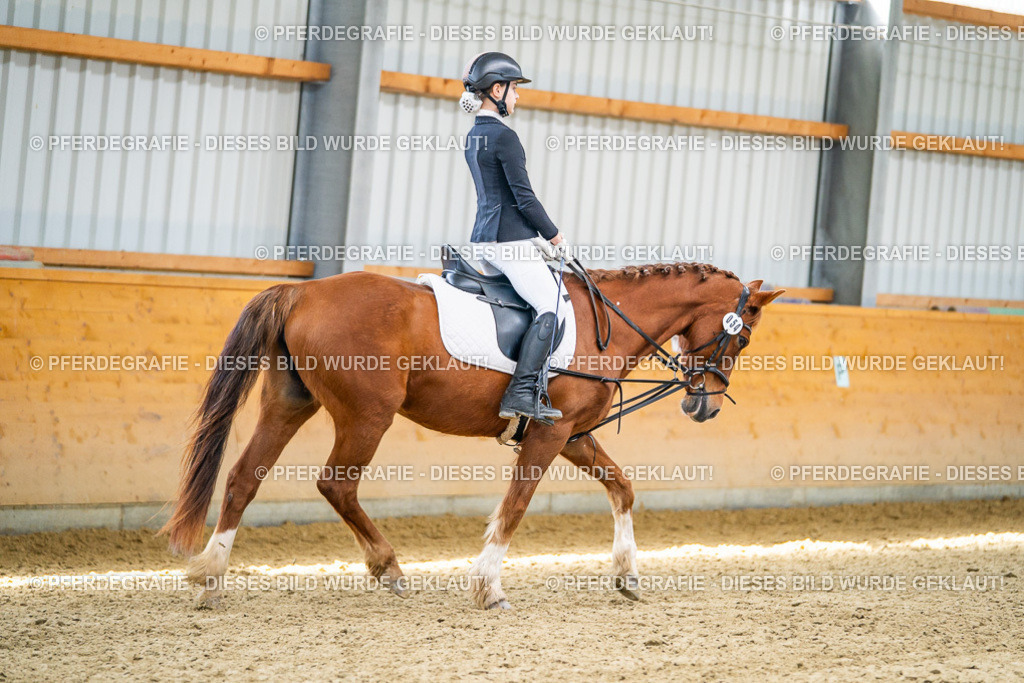 DSC02820 | Pferdegrafie