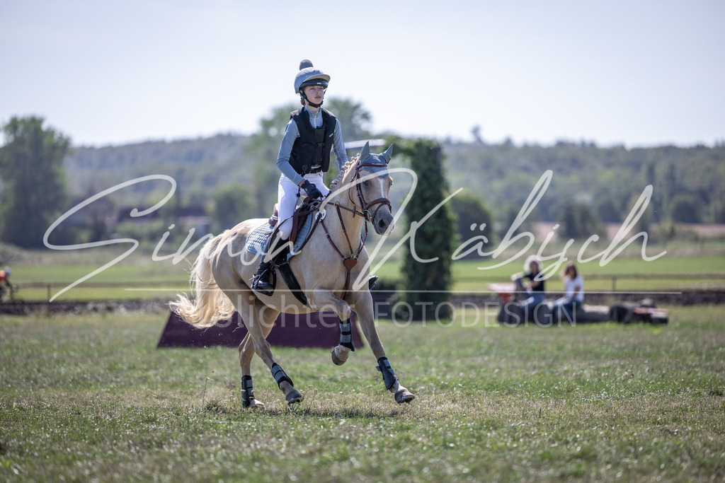 20260906-_3LI3665 | Tierfotografie Pferde, Hunde, Katzen, Haustiere.
Turnierfotografie Reitturniere, Reiten, Springreiten, Dressur in Hanau, dem Main-Kinzig-Kreis und dem Rhein-Main- Gebiet um Frankfurt