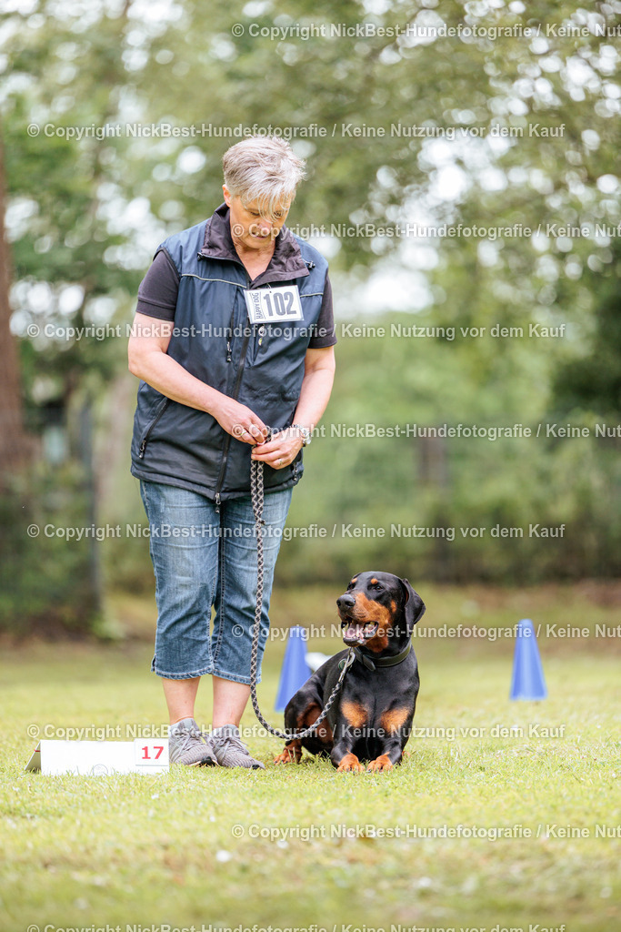 RO-Blumenthal-2026-Nickbest-Hundefotografie-5299 | Dein Hund! Dein Moment! Deine Erinnerungen! Hundefotografie in Bremen Blumenthal. Ich fange die besonderen Momente deines Vierbeiners ein – ob Indoor mit Blitzanlage oder in der freien Natur. Sicher dir dein Moment und dein Termin für eure Erinnerungen.